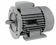 Rotor motor