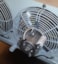 ELCO 3BTEM 45-40-0 VENTILATOR