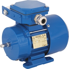 CANTONI SEH65 ELEKTROMOTOR ELECTRIC MOTOR MOTEUR ELECTRIC