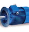 CANTONI 2SIE ELEKTROMOTOR ELECTRIC MOTOR MOTEUR ELECTRIC