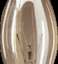 GLOEILAMP