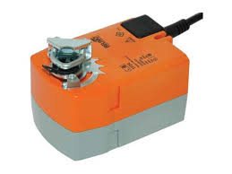 BELIMO TF TM TR SERVOMOTOREN