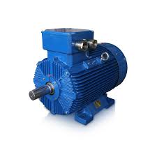 CANTONI 3SIE(K) ELEKTROMOTOR ELECTRIC MOTOR MOTEUR ELECTRIC